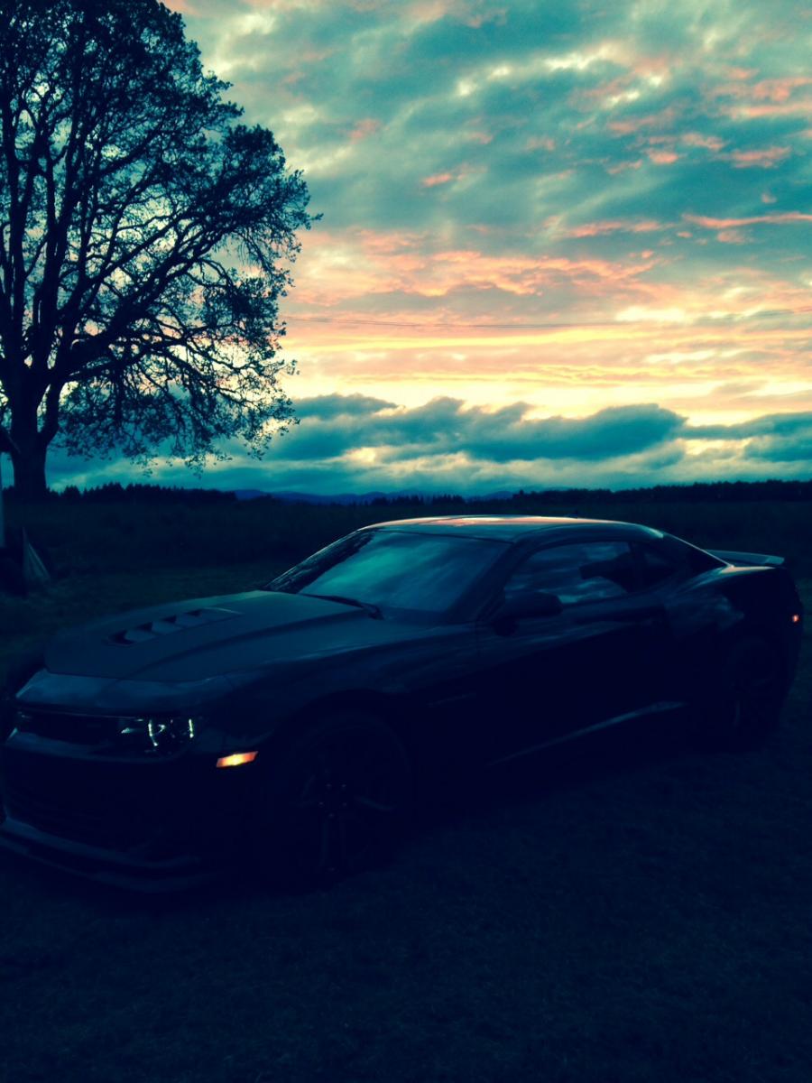 Name:  image.jpg
Views: 2127
Size:  106.5 KB