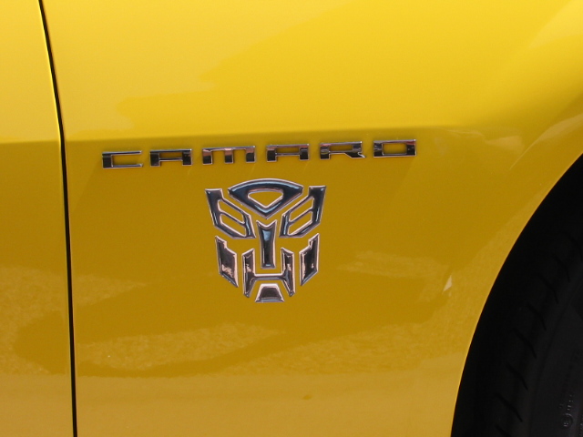 Name:  Bumble Bee Pics 004.JPG
Views: 301
Size:  103.9 KB