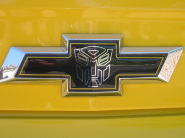 Name:  Bumble Bee Pics 006.JPG
Views: 299
Size:  111.2 KB