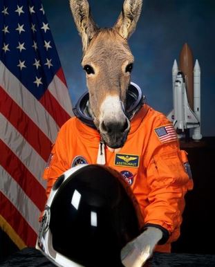 Name:  Capture.JPG
Views: 233
Size:  30.9 KB