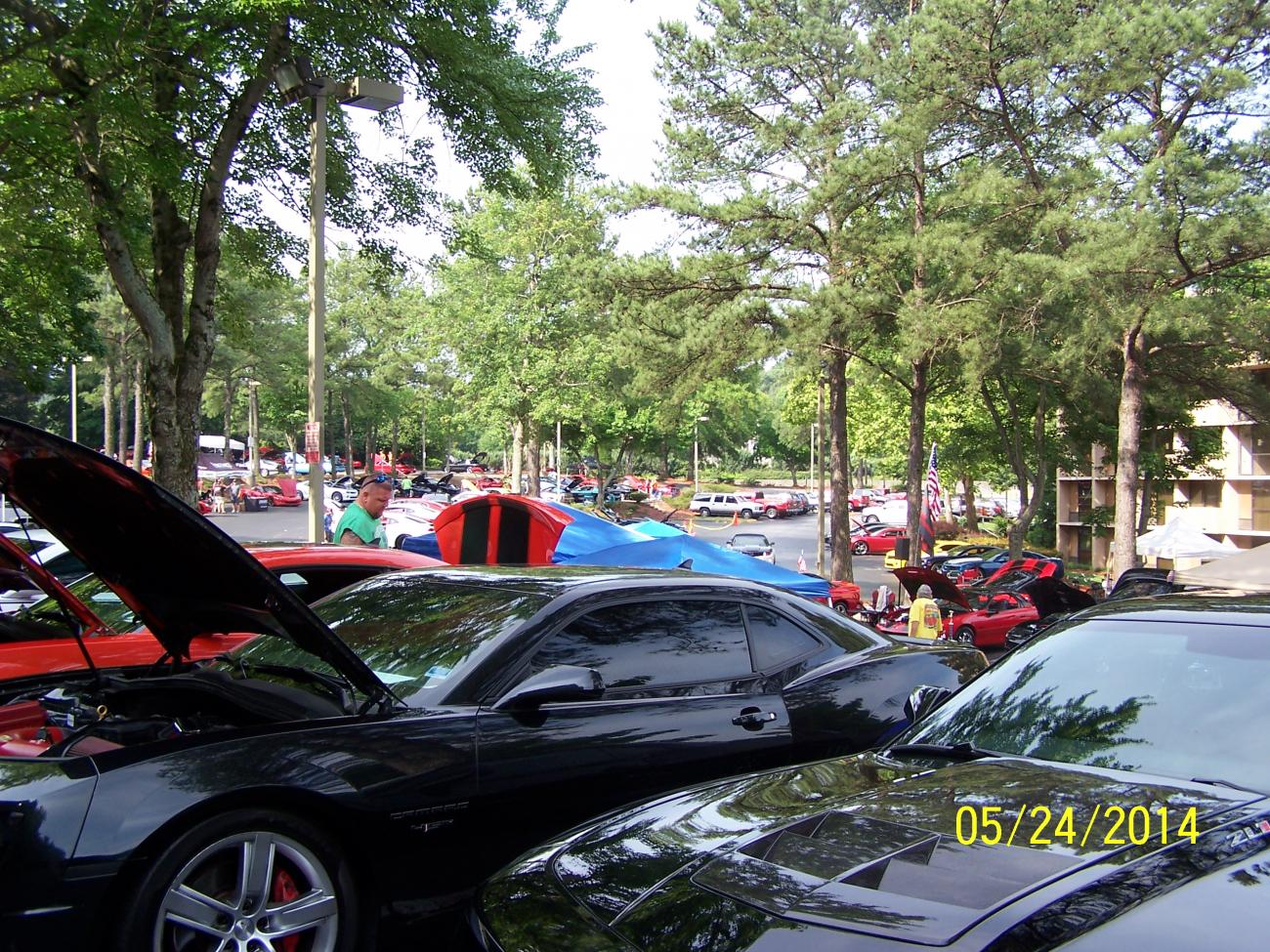 Name:  Gathering 18.jpg
Views: 425
Size:  328.8 KB