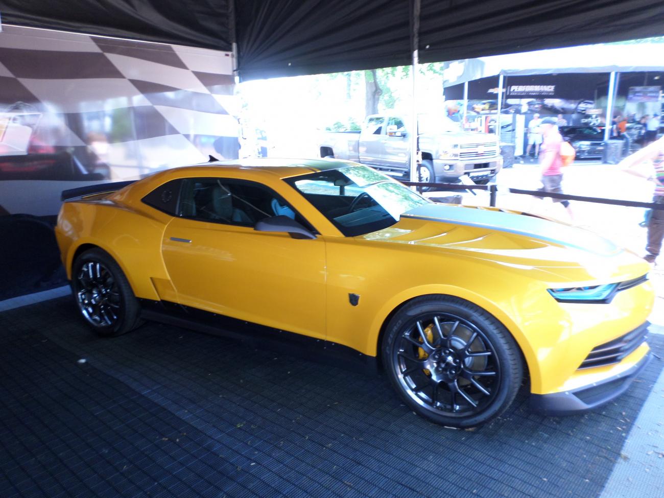 Name:  Grand Prix 2014 028.jpg
Views: 1640
Size:  144.9 KB