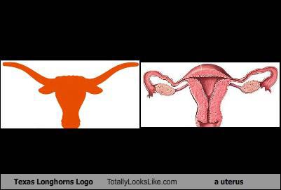 Name:  texas-longhorn-tll-uterus1.jpg
Views: 3547
Size:  11.1 KB