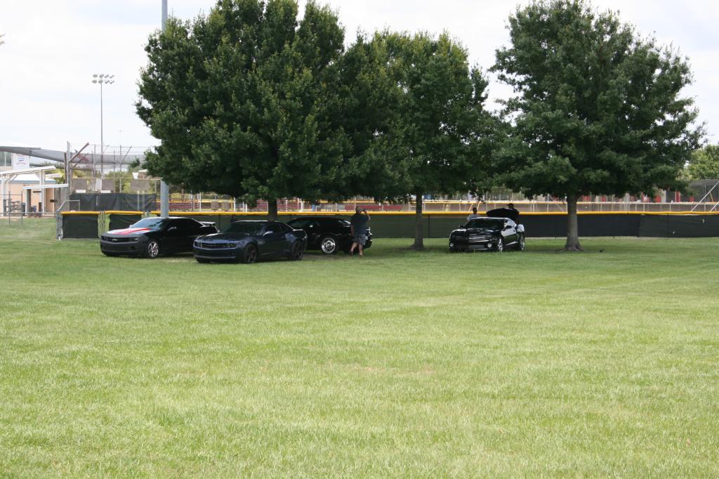 Name:  IMG_4315_zpsdce9aa42.jpg
Views: 424
Size:  131.1 KB