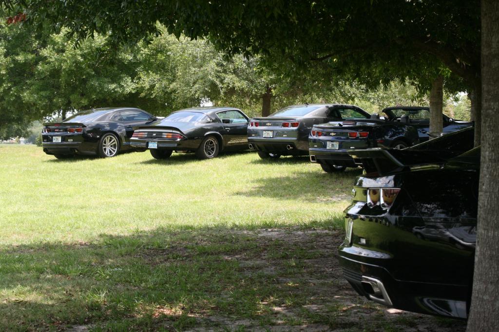 Name:  IMG_4321_zps1fb99bbc.jpg
Views: 391
Size:  143.6 KB