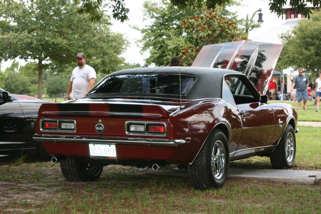 Name:  IMG_4325_zps6f753748.jpg
Views: 335
Size:  139.9 KB