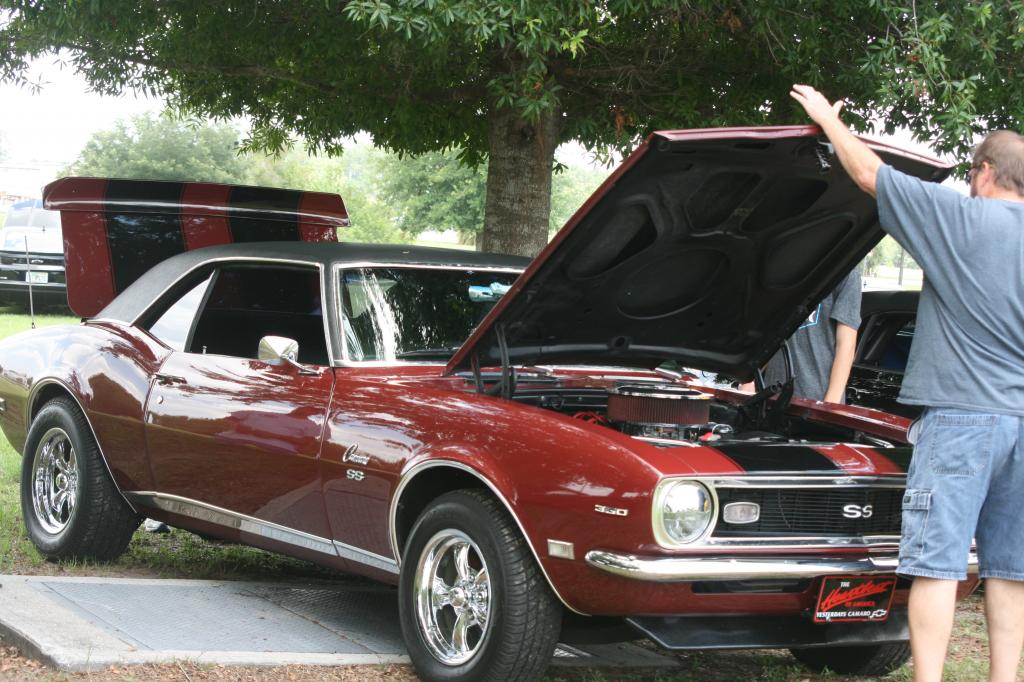 Name:  IMG_4326_zps9929af20.jpg
Views: 390
Size:  129.4 KB