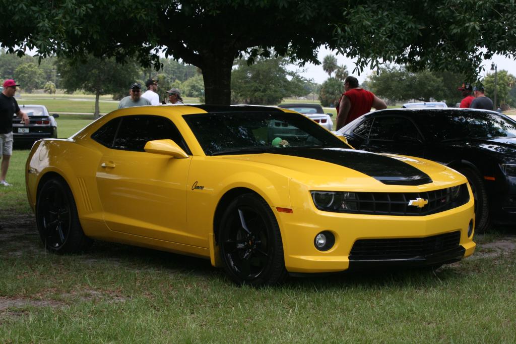 Name:  IMG_4328_zps285a0398.jpg
Views: 366
Size:  115.6 KB