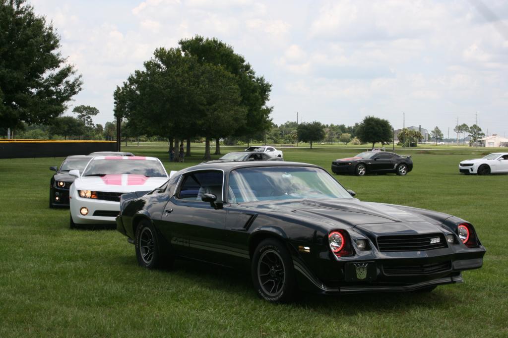 Name:  IMG_4352_zpscb973476.jpg
Views: 392
Size:  93.2 KB