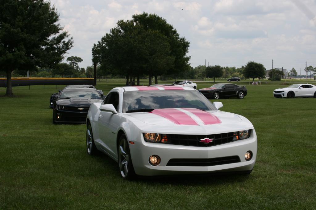 Name:  IMG_4354_zps0be409a4.jpg
Views: 328
Size:  87.5 KB