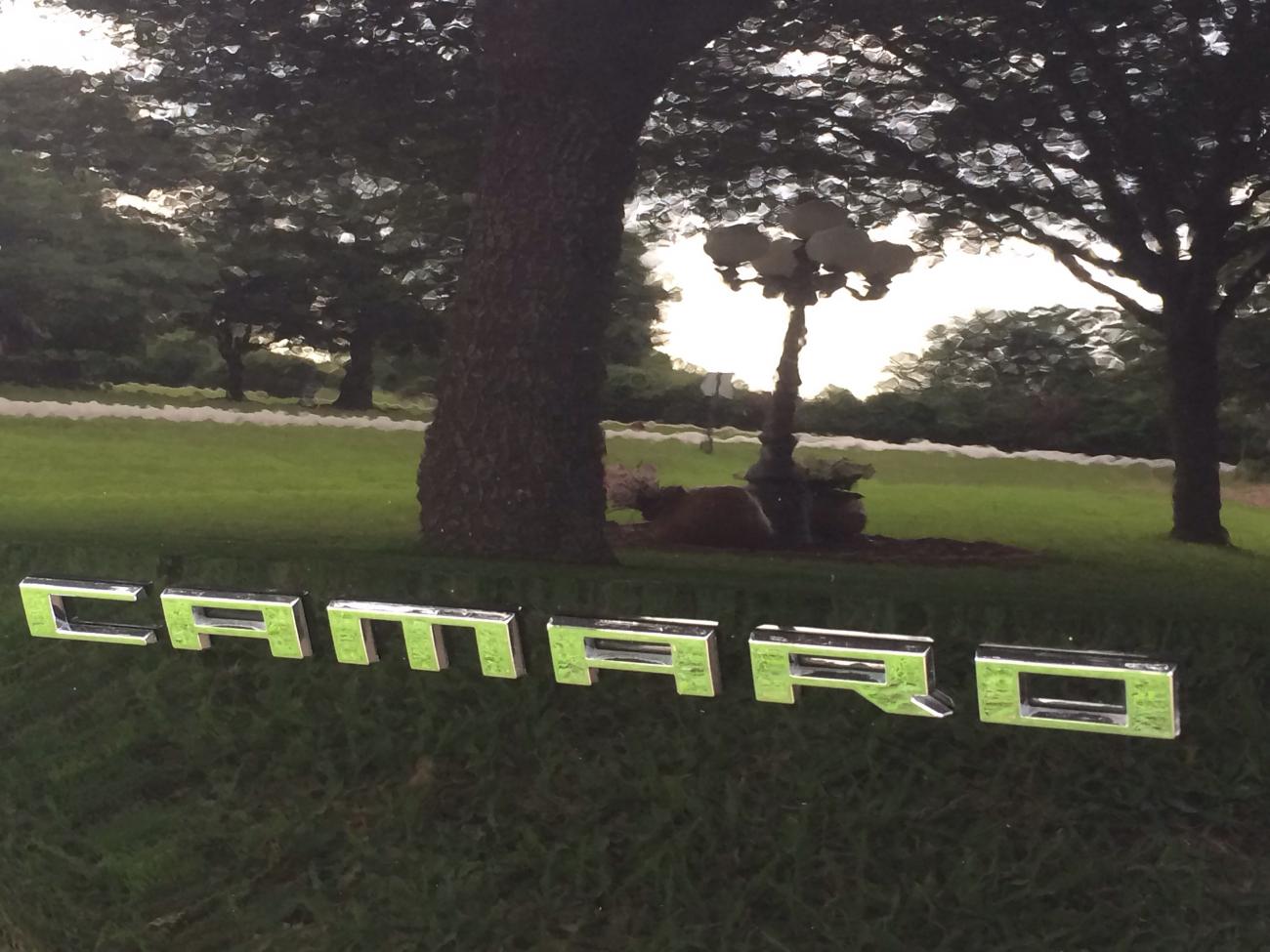 Name:  image.jpg
Views: 1529
Size:  135.3 KB