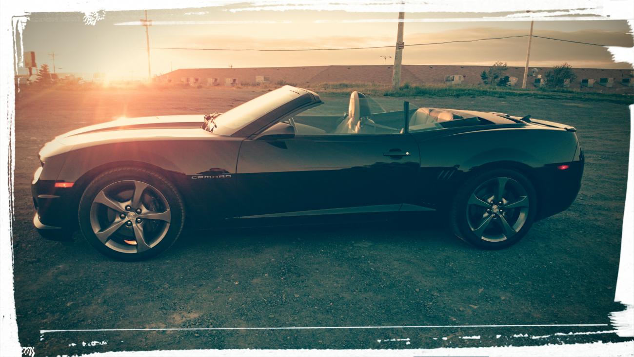 Name:  Cami.jpg
Views: 1832
Size:  117.2 KB