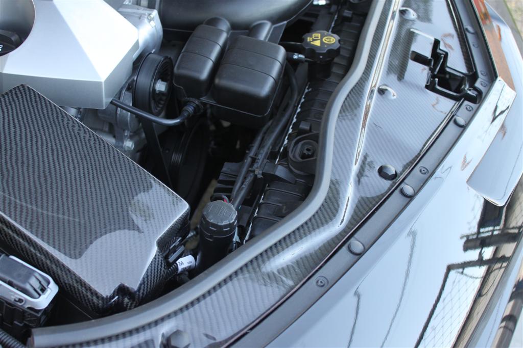 Name:  IMG_2983 (Large).JPG
Views: 346
Size:  113.8 KB