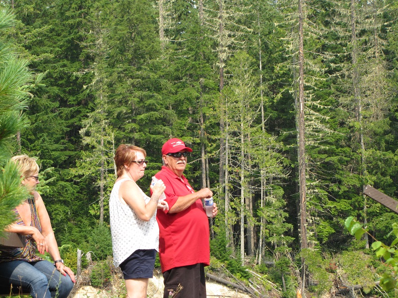 Name:  Revvy 15.jpg
Views: 1292
Size:  341.1 KB