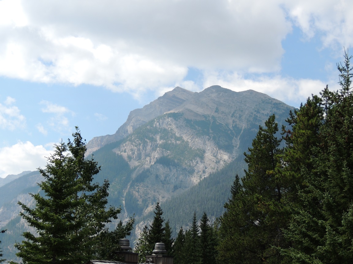 Name:  DSCN3897.JPG
Views: 1195
Size:  309.2 KB