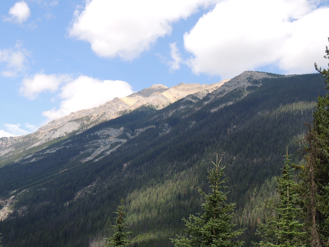 Name:  DSCN3898.JPG
Views: 1352
Size:  306.0 KB