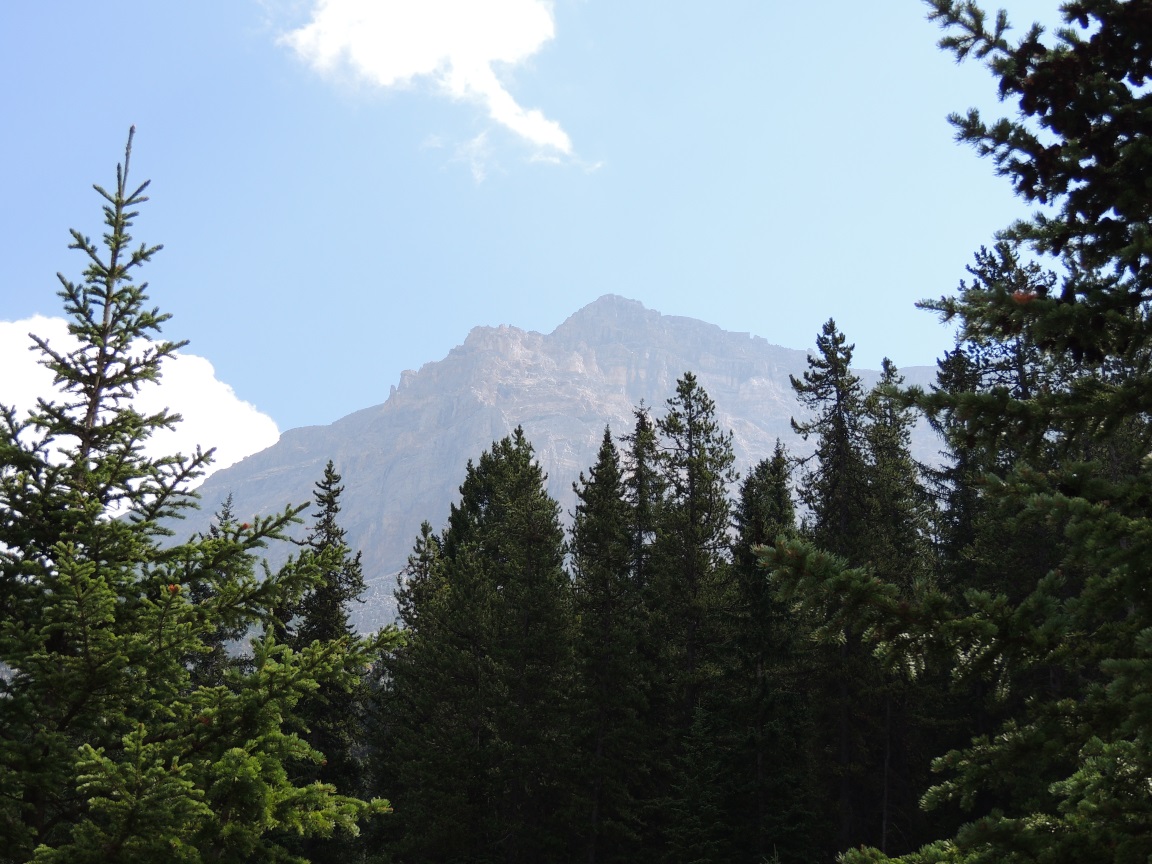 Name:  DSCN3899.JPG
Views: 1287
Size:  324.2 KB