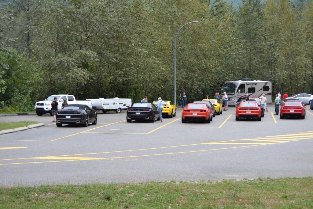 Name:  DSC_1394.jpg
Views: 1502
Size:  138.1 KB