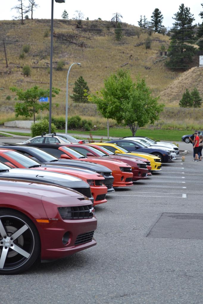 Name:  DSC_1380.jpg
Views: 1534
Size:  121.5 KB