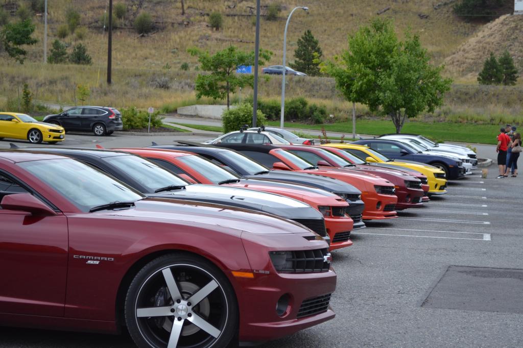 Name:  DSC_1378.jpg
Views: 1542
Size:  112.9 KB