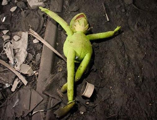 Name:  kermit1.jpg
Views: 1085
Size:  44.9 KB