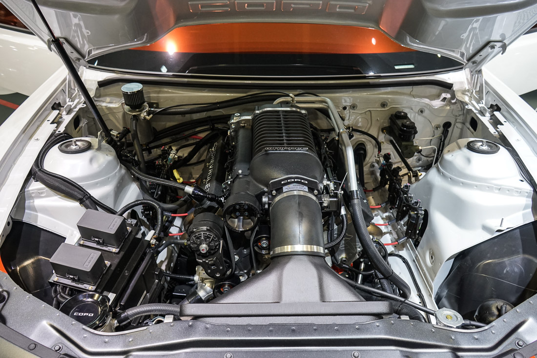 Name:  DSC05265.jpg
Views: 4672
Size:  305.5 KB