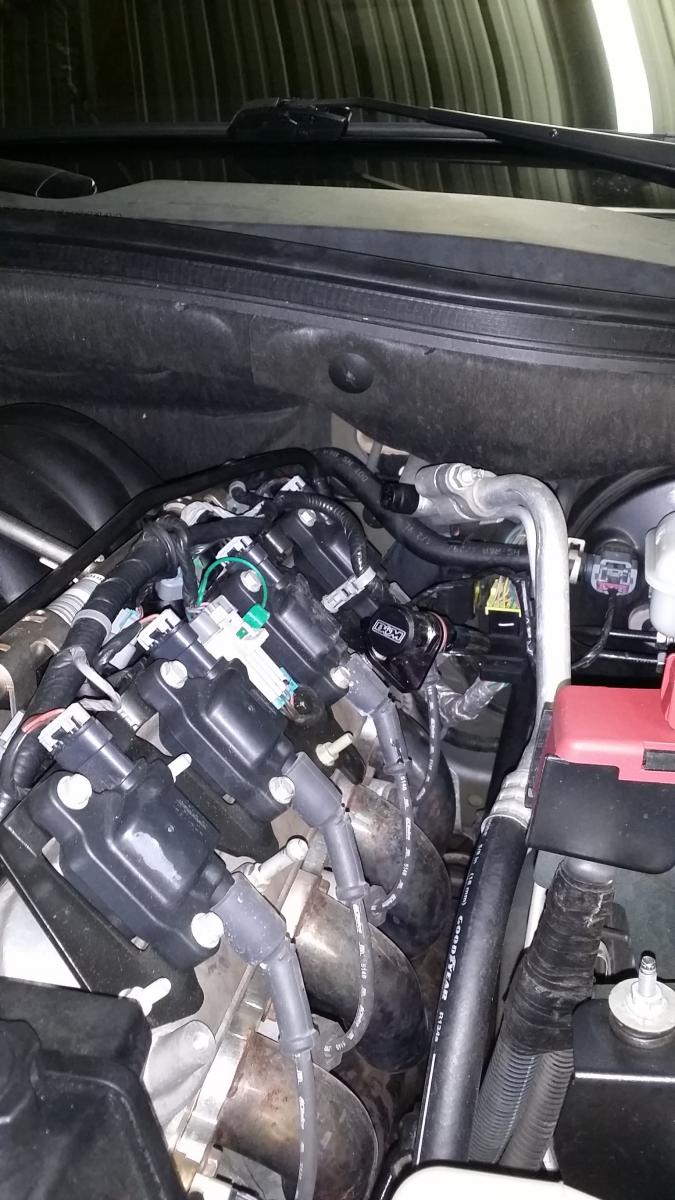 Name:  20141207_163224.jpg
Views: 1913
Size:  122.2 KB