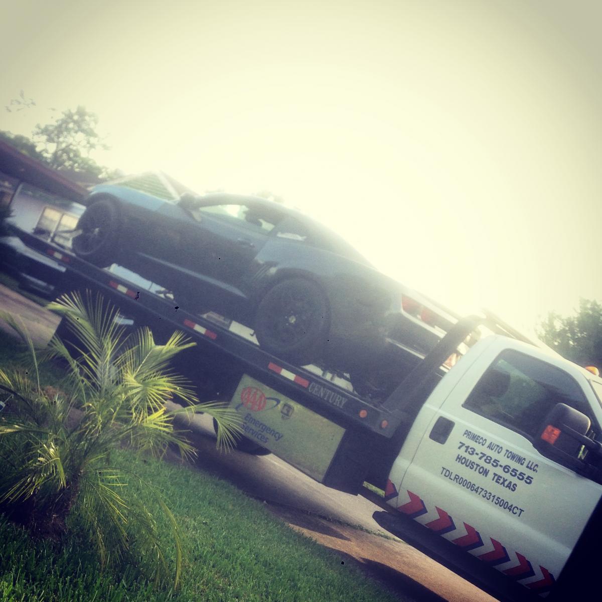 Name:  IMG_7180.jpg
Views: 1168
Size:  134.1 KB