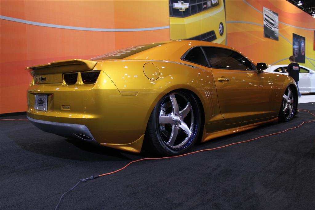 Name:  IMG_3475 (Large).JPG
Views: 28293
Size:  88.6 KB