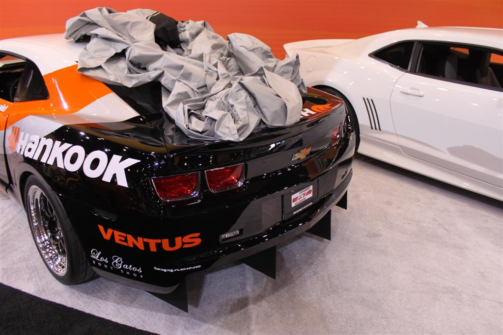 Name:  IMG_3566 (Large).JPG
Views: 24528
Size:  111.1 KB