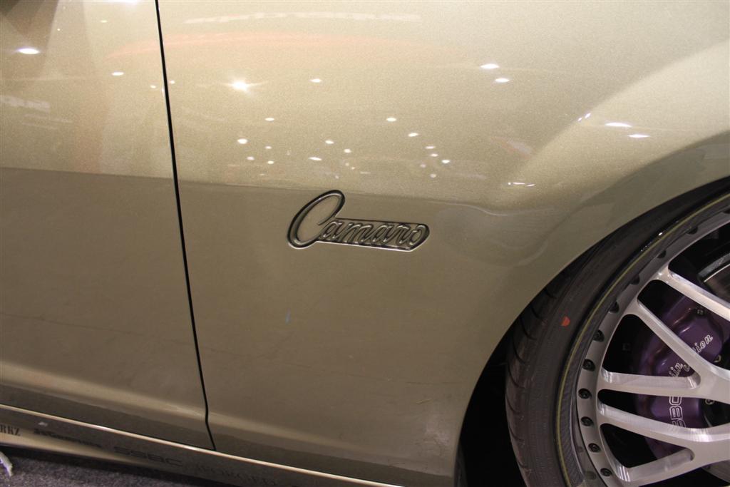 Name:  IMG_3575 (Large).JPG
Views: 24597
Size:  72.3 KB