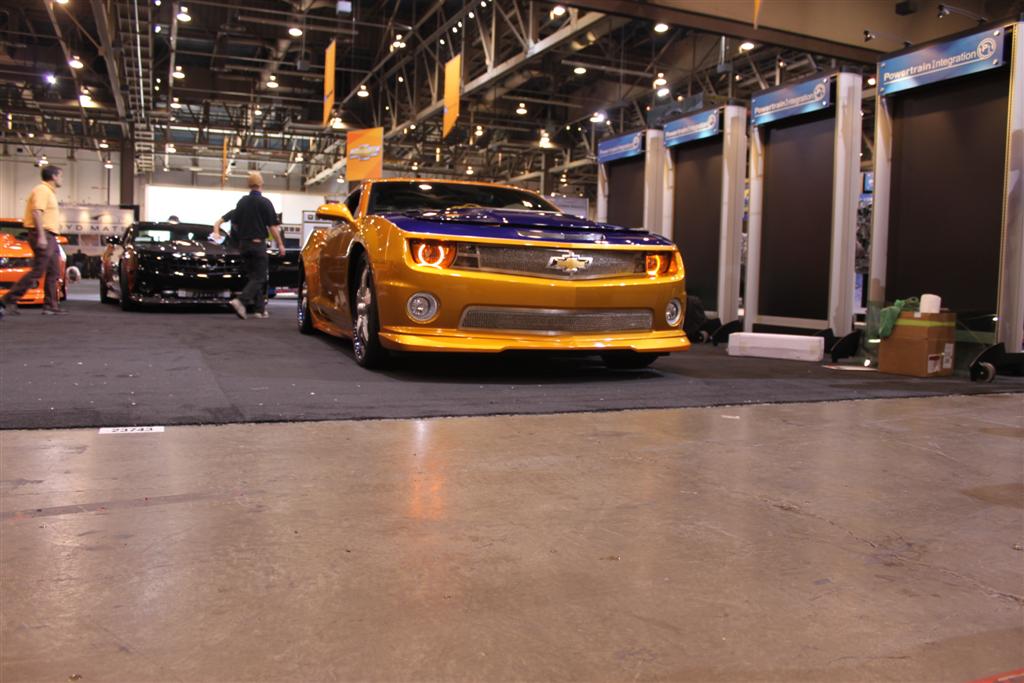 Name:  IMG_3595 (Large).JPG
Views: 23574
Size:  111.4 KB