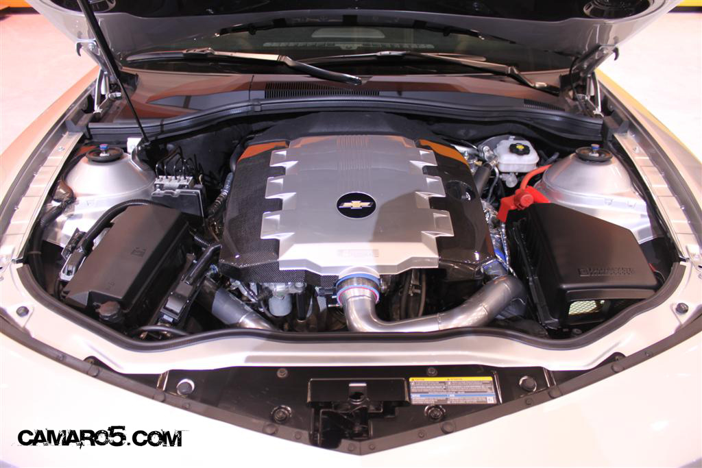 Name:  jaylenocamaro.jpg
Views: 1283
Size:  274.8 KB