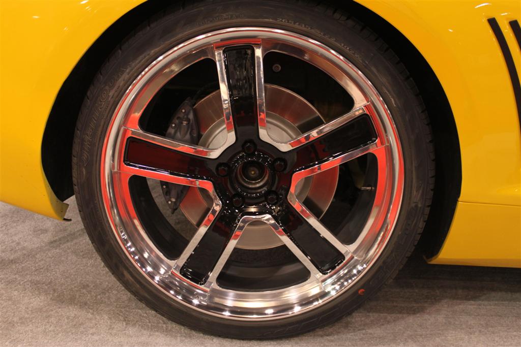 Name:  IMG_3709 (Large).JPG
Views: 18939
Size:  111.1 KB