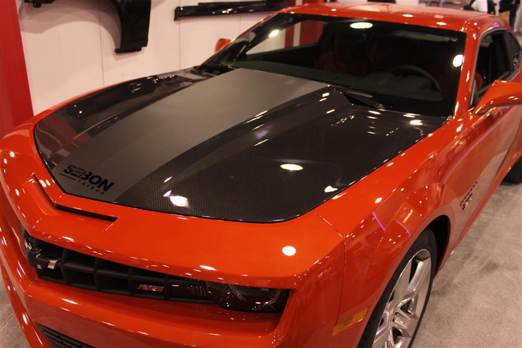 Name:  IMG_3713 (Large).JPG
Views: 21051
Size:  93.5 KB