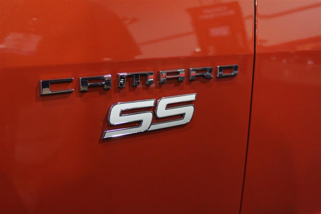 Name:  IMG_3795 (Large).JPG
Views: 20563
Size:  50.4 KB