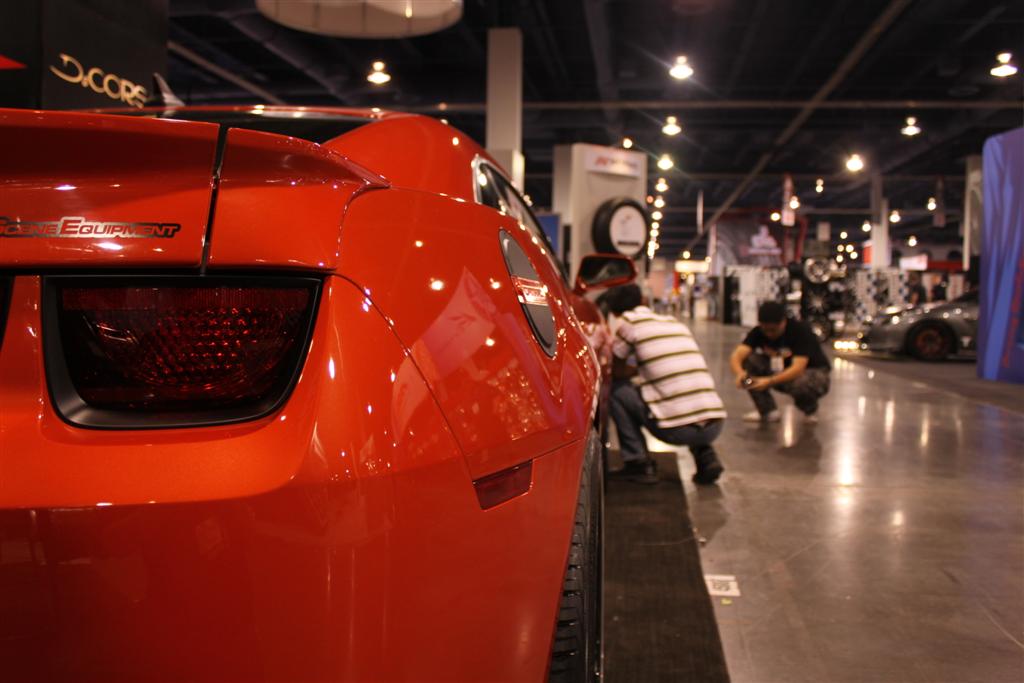 Name:  IMG_3812 (Large).JPG
Views: 18495
Size:  83.4 KB