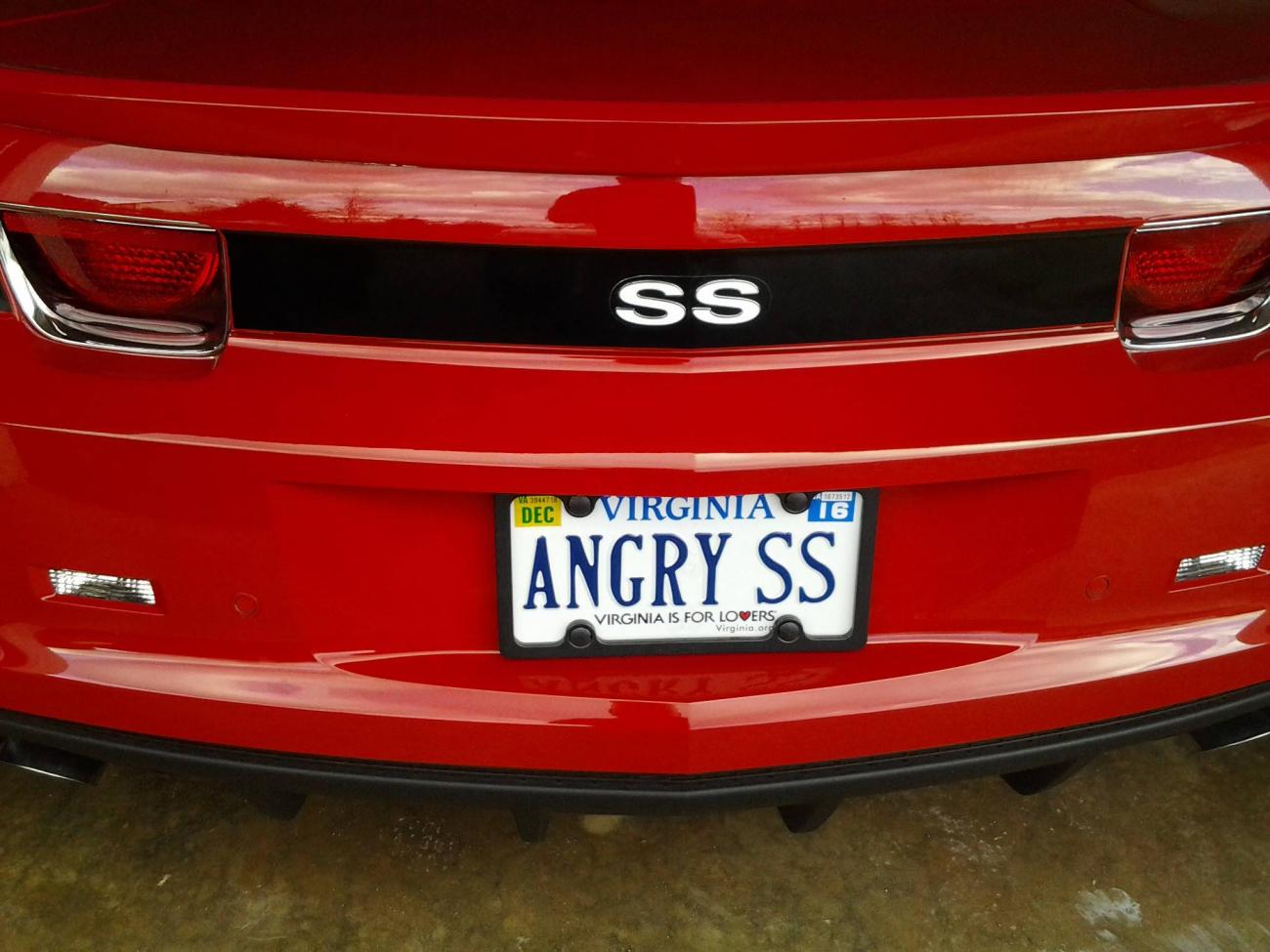 Name:  ss.jpg
Views: 918
Size:  119.2 KB