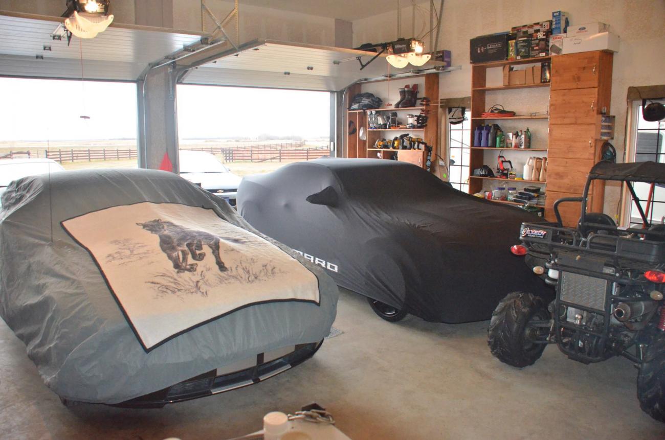 Name:  Winter Naps.jpg
Views: 4214
Size:  124.9 KB