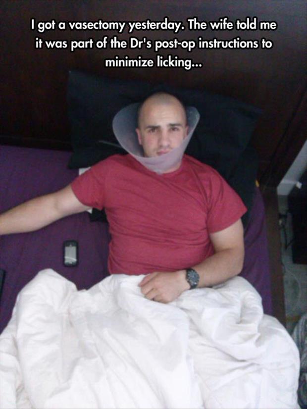 Name:  a-cone-of-shame.jpg
Views: 23631
Size:  48.9 KB