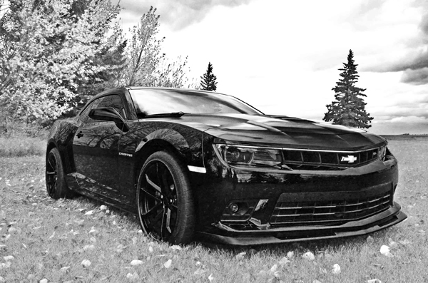 Name:  DSC_2955awww.jpg
Views: 1060
Size:  199.7 KB