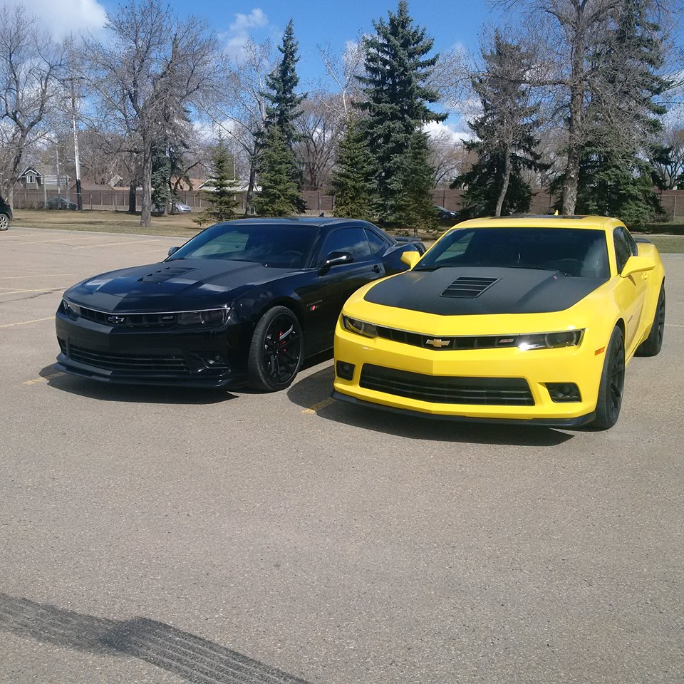 Name:  playtime.jpg
Views: 907
Size:  291.8 KB