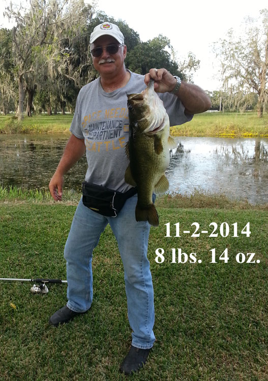 Name:  11-2-14 8lb 14oz fish2A.jpg
Views: 224
Size:  172.5 KB