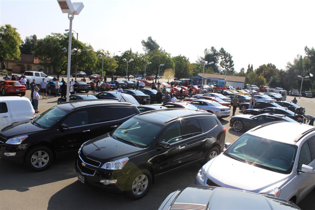 Name:  IMG_5378 (Large).JPG
Views: 3668
Size:  119.2 KB