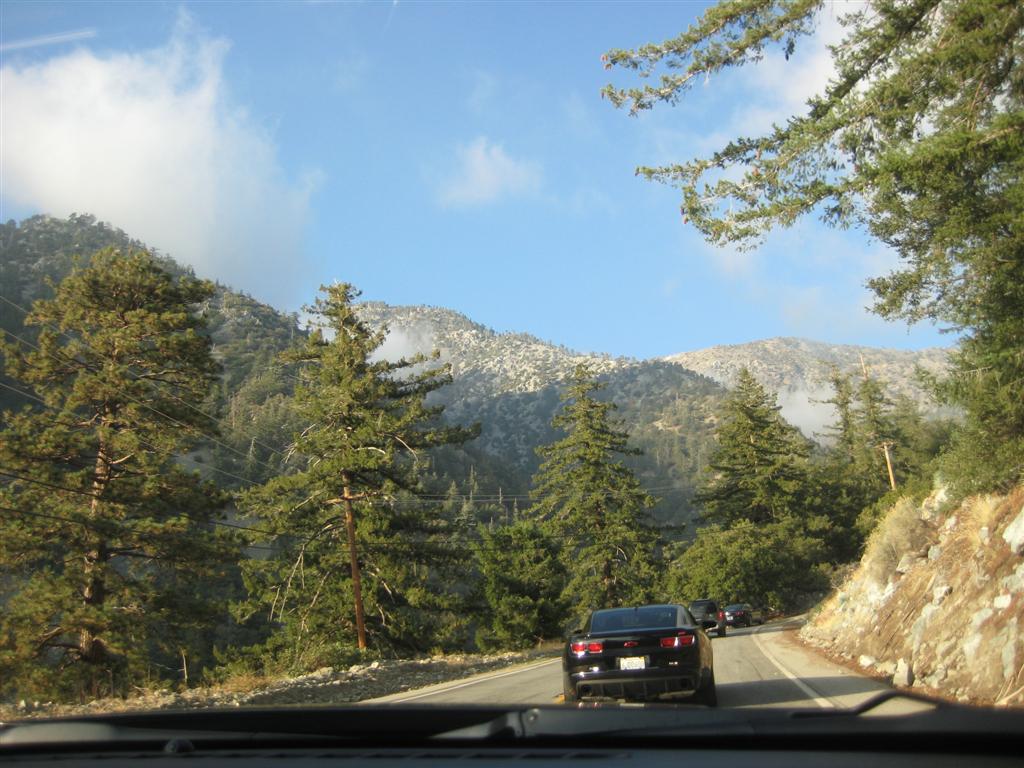 Name:  IMG_0728 (Large).JPG
Views: 3385
Size:  134.8 KB