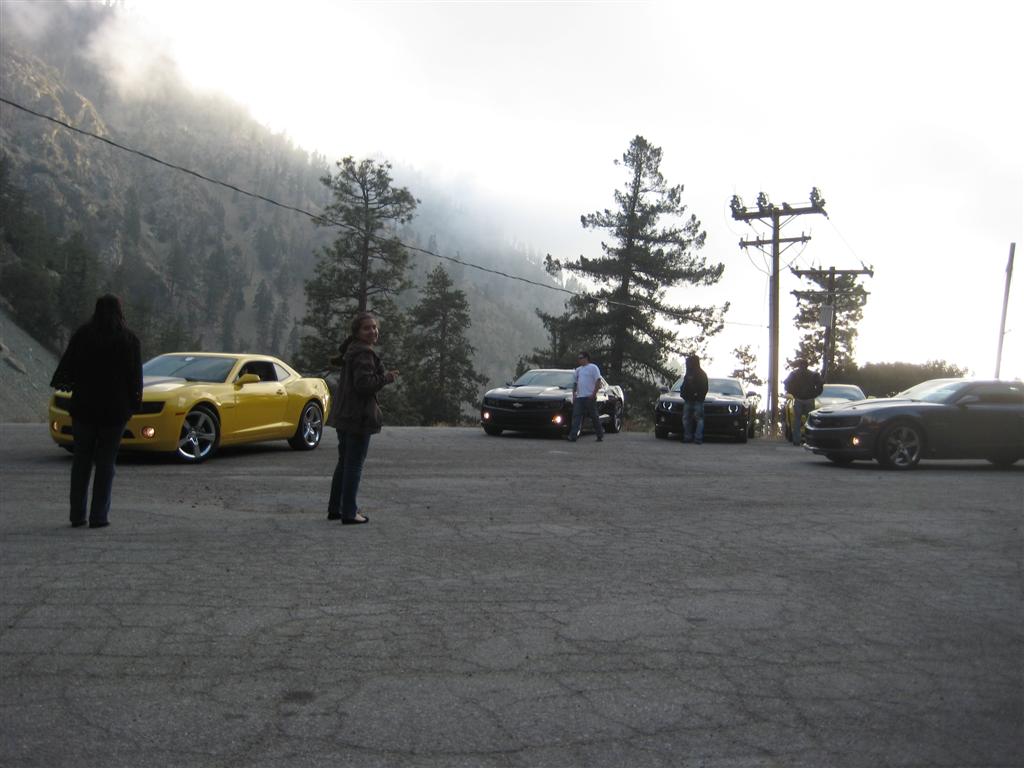 Name:  IMG_0756 (Large).JPG
Views: 3378
Size:  89.0 KB