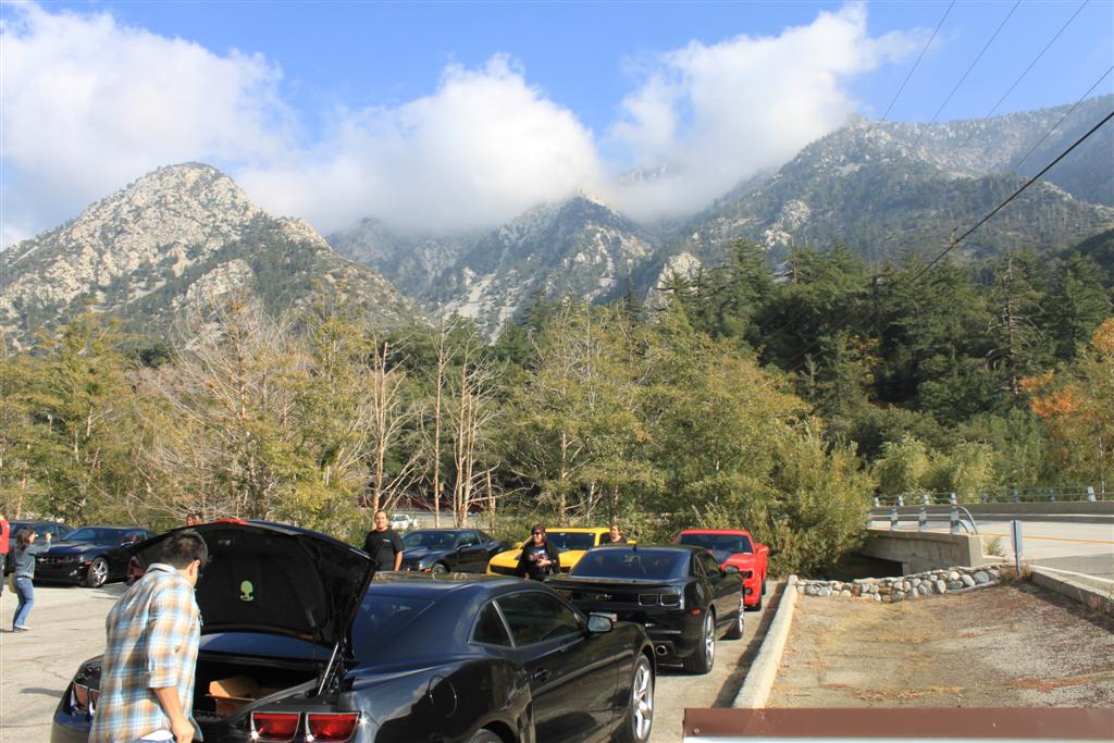 Name:  IMG_5617 (Large).JPG
Views: 3378
Size:  147.3 KB