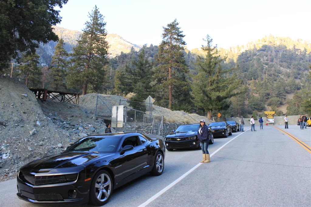 Name:  IMG_5649 (Large).JPG
Views: 3332
Size:  141.6 KB