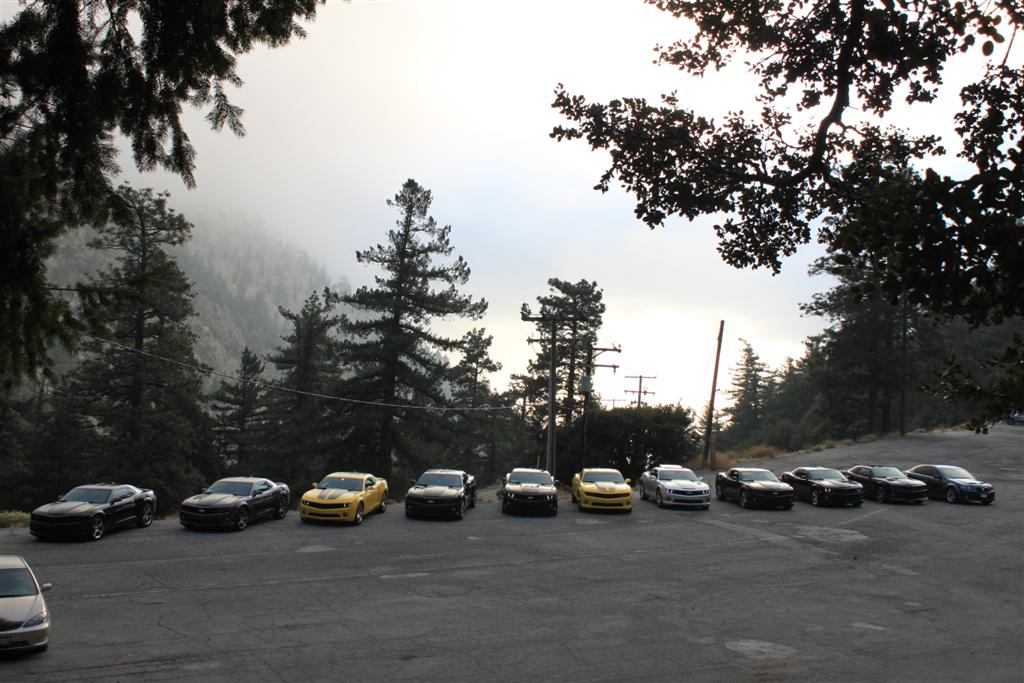 Name:  IMG_5703 (Large).JPG
Views: 3334
Size:  129.6 KB