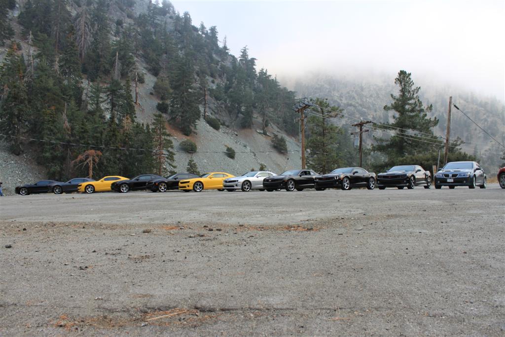 Name:  IMG_5712 (Large).JPG
Views: 3340
Size:  127.5 KB